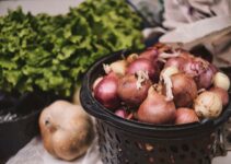 Vegan-Friendly Ingredients In Phengold: A Thorough Breakdown